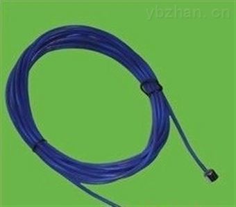 微(wēi)型熱電阻
