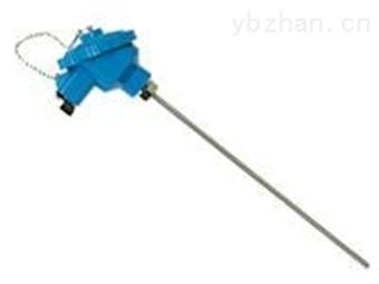 wrn-130滲碳(tàn)爐高溫抗滲碳(tàn)k型熱(rè)電偶(ǒu)2520保護(hù)管