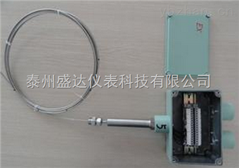 wrmwrm-54、wrm2-54、wrm-54a、wrm2-54a防(fáng)爆熱電偶(ǒu)