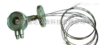 生産多點铠裝熱(rè)電(diàn)偶廠家(jiā)