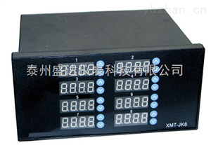 8路通道(dào)同時顯示控制(zhì)儀