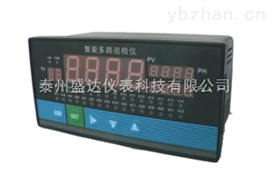 十六路(lù)溫度巡檢(jiǎn)儀