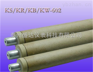 鋼(gāng)水用一次性鉑铑快速(sù)熱電偶(ǒu)