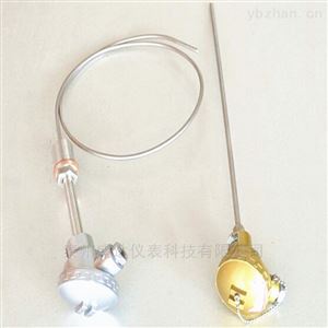 中低溫-200-500℃溫度(dù)傳感器測溫元件铠裝熱電阻(zǔ)wzpk-131