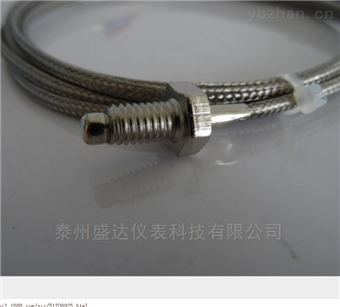 wrnt-02特殊型表(biǎo)面熱熱電(diàn)偶螺釘式(shì)